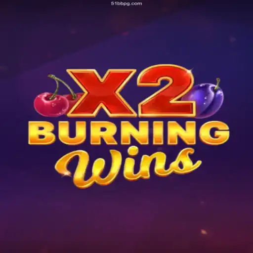 Exploring the Exciting Casino Game: BurningWinsX2